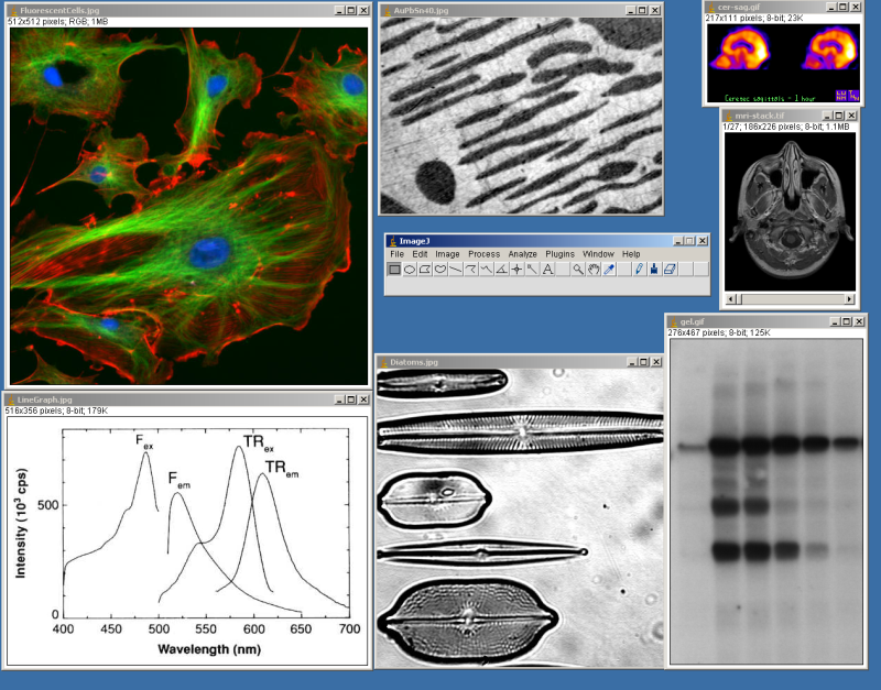 imagej download windows 10