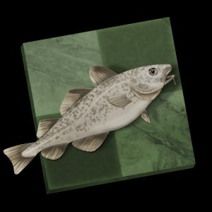 SmallFish Chess for Stockfish 16.16.8 Free Download